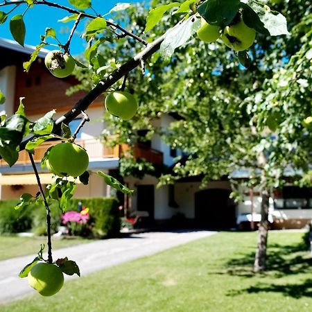 Haus Obermoser Dellach im Drautal Dış mekan fotoğraf