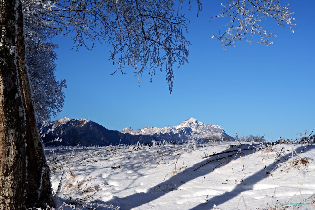 Haus Obermoser Dellach im Drautal Dış mekan fotoğraf