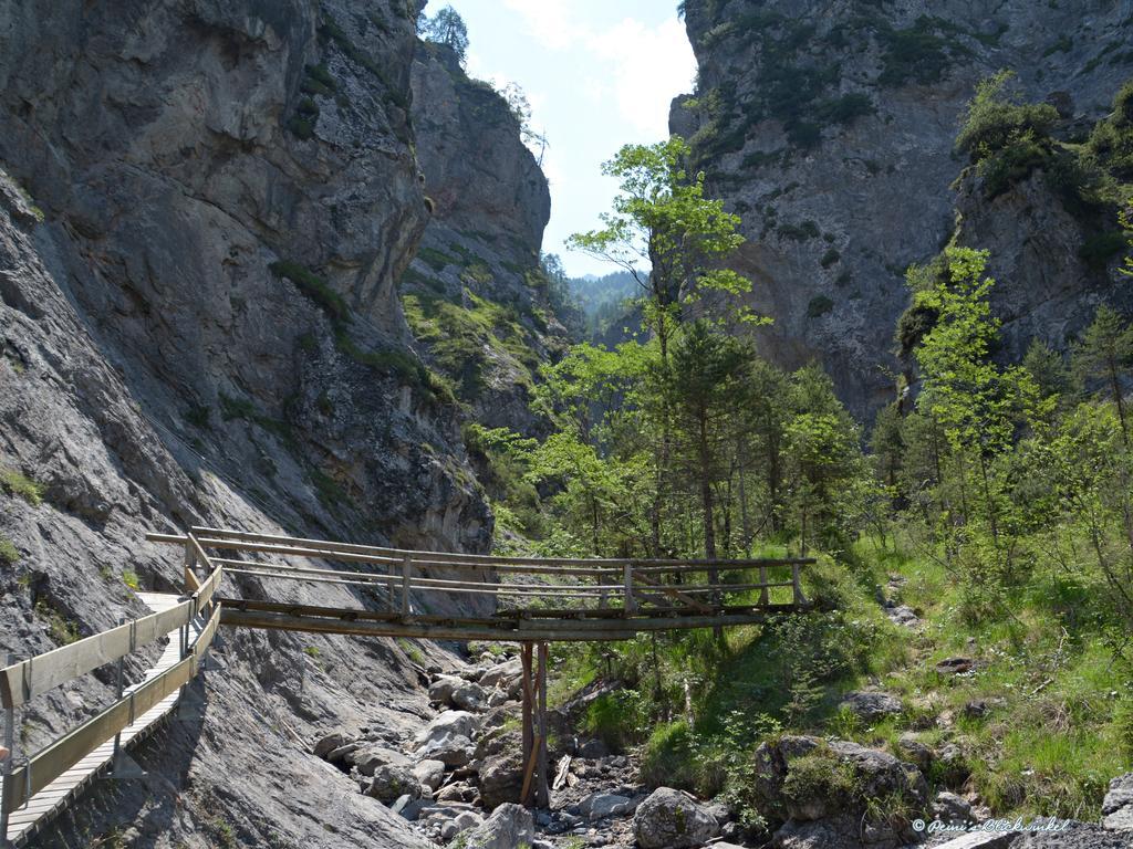 Haus Obermoser Dellach im Drautal Dış mekan fotoğraf
