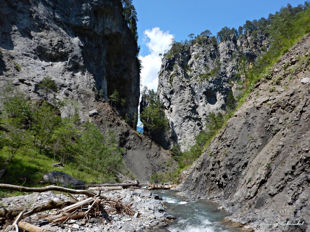 Haus Obermoser Dellach im Drautal Dış mekan fotoğraf